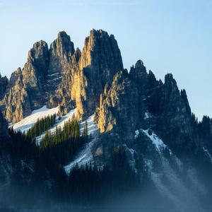 Farewell on the Green Willows