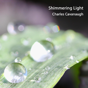 Shimmering Light