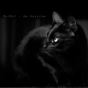 Um Havatam