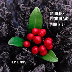 In the Bleak Midwinter