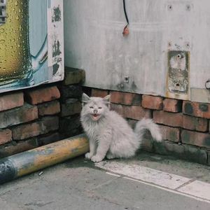 安康//prod Jammy Beatz