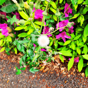 audience～1／1400～