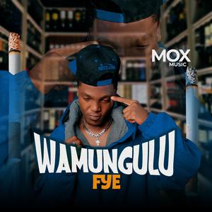 Wamungulu fye