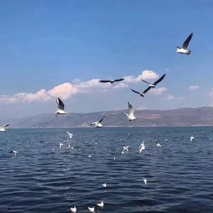 爱要怎么说出口（翻自 林俊杰）