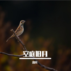 空庭旧月