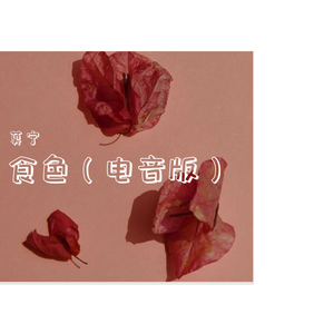 食色（电音版）
