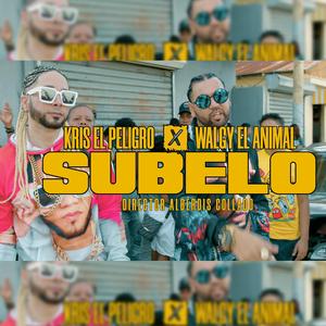 subelo