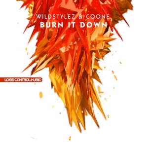 Burn It Down (Original Mix)