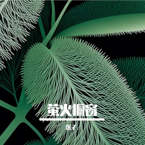 萤火橱窗
