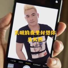 失眠的夜里好想你 (DJ佐罗版)