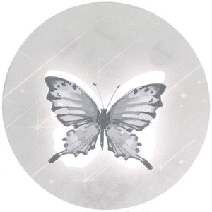 那天，蝴蝶飞远了