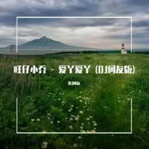 旺仔小乔 - 爱丫爱丫（DJ何友版）
