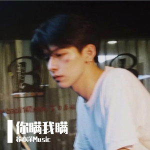 我将爱藏于风中（Remix）