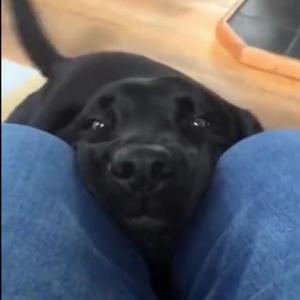 我知道你看得见(prod.by Red killer)