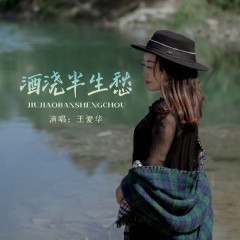 酒浇半生愁 (DJ默涵版)