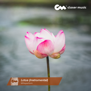 Lotus (Instrumental)