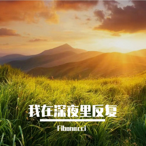 我在深夜里反复