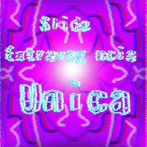 Slide Extravagância Unica