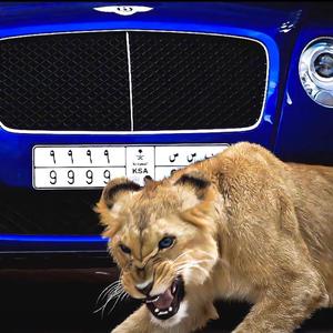 DJ车载流行歌曲