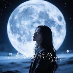 月色如霜的伤 (对唱版)