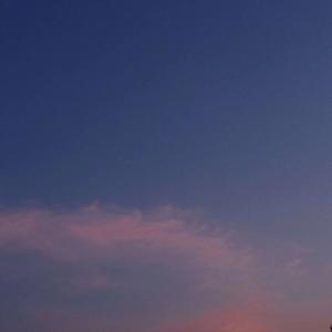 惆怅的枫叶拍过我的肩