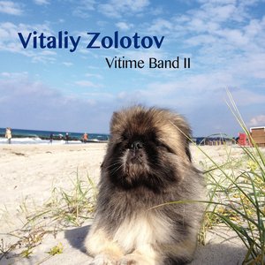 Die Seelen Der Hunde Auf Den Straßen Russlands Und Der Ukraine