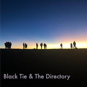 Rose-Coloured Moon (The Directory)