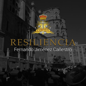 Resiliencia