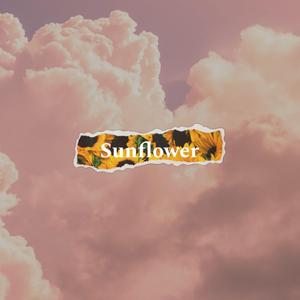 sunflower. (feat. antigravity!)