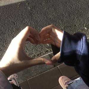 楼顶上的小斑鸠(0.8x)