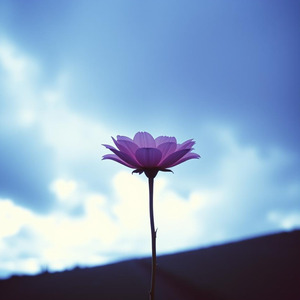 不器用な僕の純粋さ