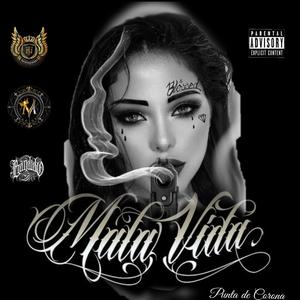 S I N M I E D O A M O R I R