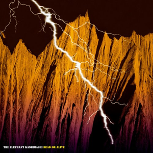 何度でも立ち上がれ