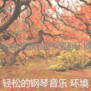 精彩放松的环境