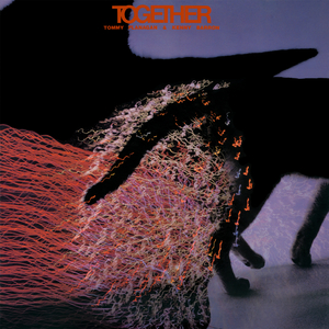 If I Should Lose You