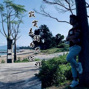 寂寞是因为思念谁