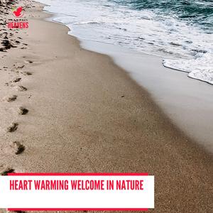 Pugnacious Woodpecker