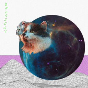 Spacecat