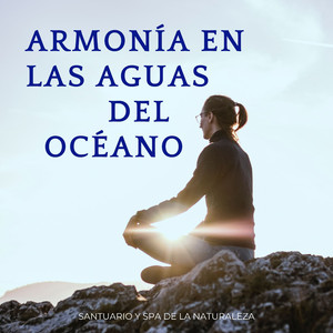 Serenidad Eterna Por Olas