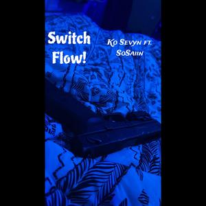 Switch Flow!