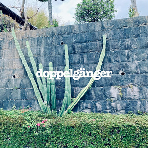 ドッペルゲンガー