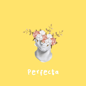 Perfecta