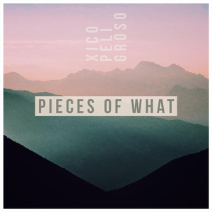 Pieces of What
