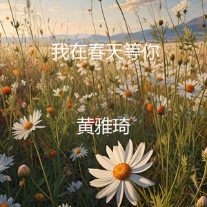 我在春天等你 思念随风化作雨