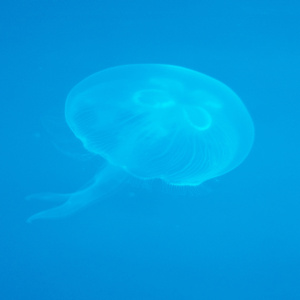 Unlock It X Better Off Alone