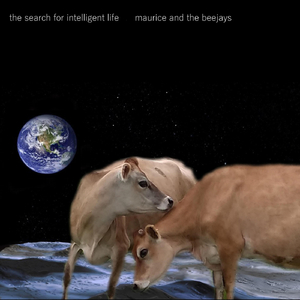 Another Shitty Day In Paradise