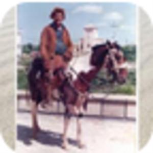 Samba - Homenagem a Morada Nova - CE