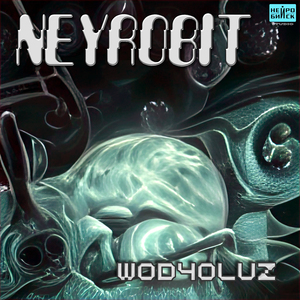 Wodyoluz