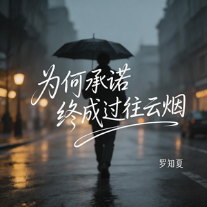 为何承诺 终成过往云烟