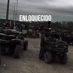 Enloquecido